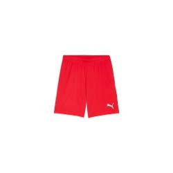 teamGOAL Shorts PUMA...